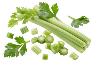 Whole and chopped celery stalks with leaves, isolated on black background for use in food, nutrition, and healthy eating concepts.
