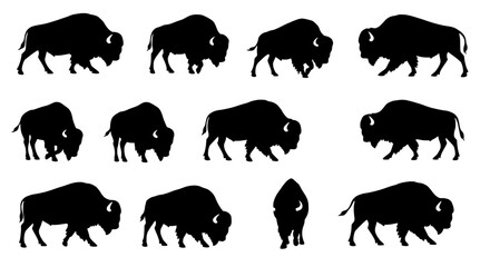 Bison Silhouette Collection: A dynamic array of majestic bison silhouettes, captured in various poses, offer a striking visual exploration of the iconic animal against a pristine backdrop.