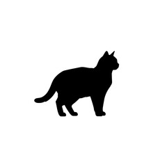 Cat Silhouette: An elegant black cat silhouette, capturing the essence of feline grace, perfectly poised with a simple and minimalistic aesthetic.