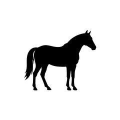 Elegant Equine Silhouette: A captivating silhouette of a majestic horse, exuding grace and power, stands poised against a minimalist backdrop.