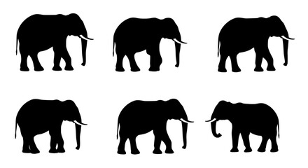 Elephant Silhouettes: A striking collection of six elegant elephant silhouettes, presented against a contrasting backdrop, emphasizing their iconic form and strength.