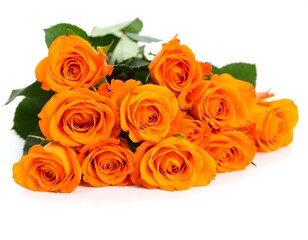 Naklejka premium Bright orange roses on white