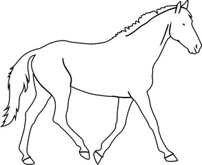 Minimal walking horse in outline style. Great for ranch labels, nature apps, horse care branding, and western-themed designs.


