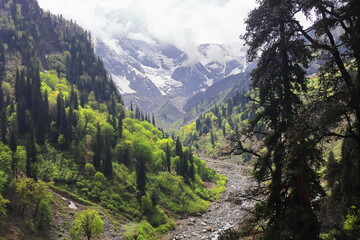scenic mountain landscape, snowcapped himalaya and lush green forest near atal tunnel, manali hillstation in kullu valley in himachal pradesh, india © Rupam