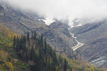 Obraz premium adventure travel, panoramic view of snowcapped himalaya mountains and wilderness of alpine forest near manali in kullu valley, himachal pradesh, india