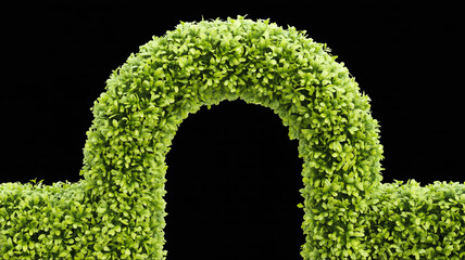 3D rendered green hedge arch, lush foliage, pure black background