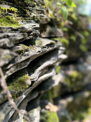 Moss on layered rocks