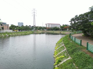 beautiful lake garden with ornamental plants growing on the edge