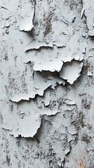 Obraz premium Peeling paint texture
