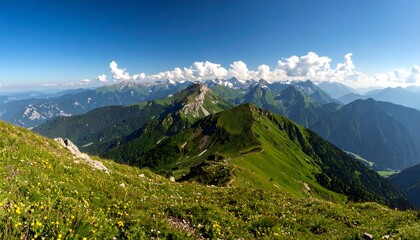 Naklejka premium Mountain vista with wildflowers (1)