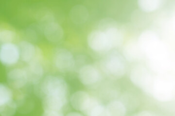 Obraz premium Green nature bokeh, Subtle background in abstract style for graphic design