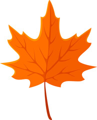 Cartoon autumn maple leaf, Thanksgiving day symbol with warm orange hues. Isolated vector fallen tree foliage symbolizing fall, change and nature. Botanical element for seasonal themes and decor
