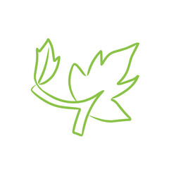 leaf line vector art