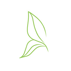leaf line vector art