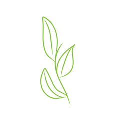 leaf line vector art