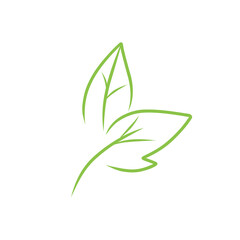leaf line vector art