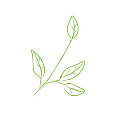 leaf line vector art