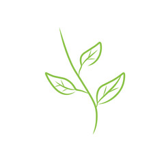 leaf line vector art
