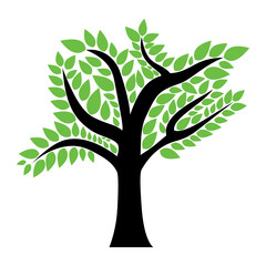 Obraz premium Vector tree with green leaves