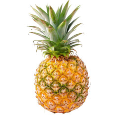 Fototapeta premium Fresh pineapple, whole and isolated