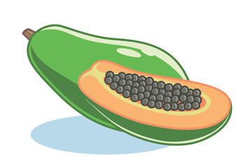 Whole sliced and Half Cut green papaya. Illustration of fruit's seeds and flesh