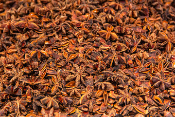 Raw Brown Organic Star Anise Spice in a Bunch
