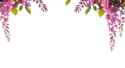 Floral frame with purple wisteria flowers isolated PNG with Transparent Background
