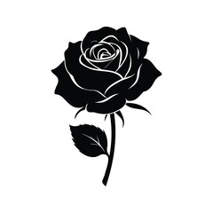 Elegant and sophisticated black and white rose illustration on a white background