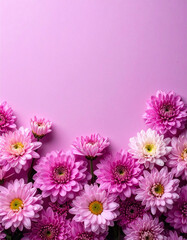 Autumn flower background, beautiful chrysanthemum flower design background - 가을 꽃 배경, 아름다운 국화 꽃 디자인 배경