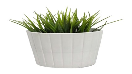 Artificial or real tall green grass-like plant placed in a vertically lined white ceramic pot, isolated on a white background for decor or mockups