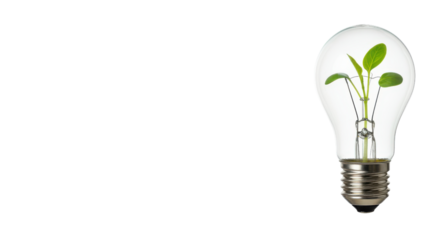 Lightbulb with a green plant growing inside isolated PNG with Transparent Background