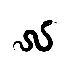 Fototapeta premium black and white snake
