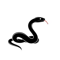 Obraz premium Snake tatto