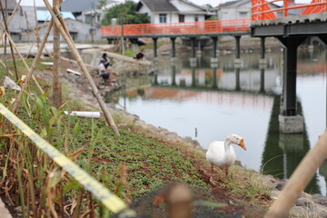 a water park near the city that was recently completed
