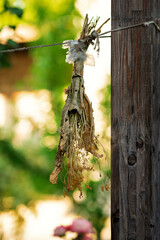 Dried herb bundle hangs from a rope on a weathered wooden post, brittle leaves and seed heads...