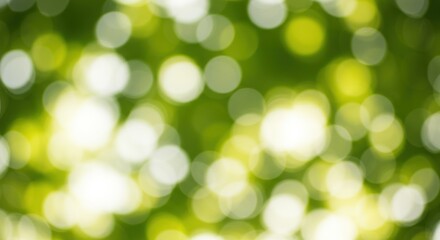 Fototapeta premium Abstract Green Bokeh: Sunlit Leaves, Soft Focus, Bright Circles