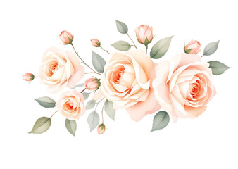 Watercolor Peach and Cream Roses Floral Arrangement PNG Isolated on Transparent Background