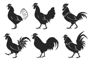 Set of black rooster silhouettes. Vector graphic collection of farm poultry birds, cockerel icons isolated on white background.