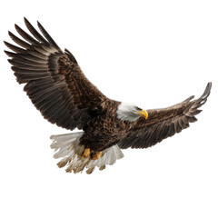 Obraz premium Majestic eagle soaring through the night