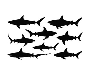 Fototapeta premium Silhouettes of sharks on white background