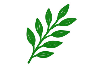 Obraz premium Green leafy branch symbolizing environmental growth, natural sustainability against transparent backdrop