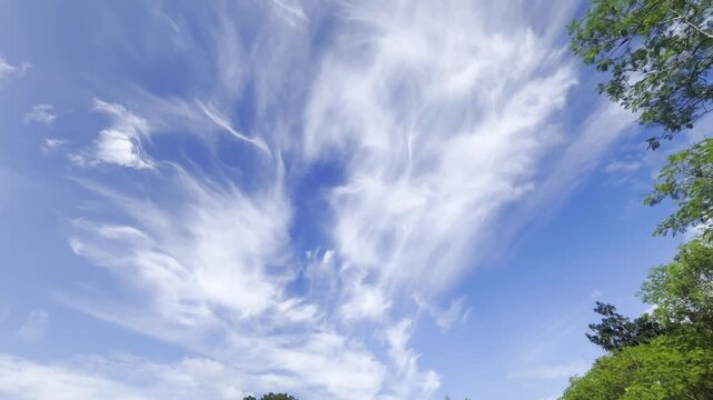 Cirrus clouds are high-altitude clouds, Global warming is expected to increase certain types of clouds in certain places and decrease them in others.