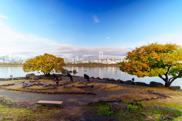 Skyline of Tokyo Rainbow Bridge in morning sunlight under blue sky with cloud