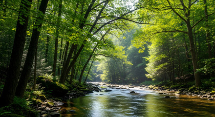 Obraz premium river in the forest