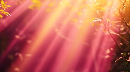 Sunset sky reflecting over the calm sea with vibrant orange and red hues