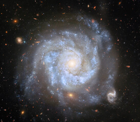 Fototapeta premium Spiral galaxy NGC 1309 in Eridanus constellation.