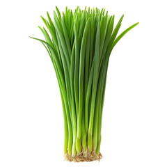 Bunch of green scallions