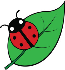Cute ladybug on a green leaf isolated on transparent background