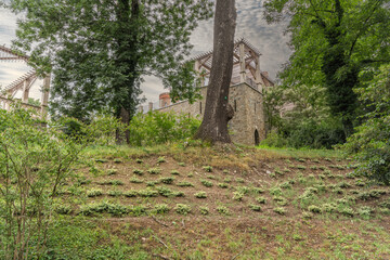 Kamieniec Zabkowicki and its unique palace.