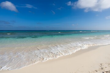 Obraz premium Perfect White Sand Beach with Clear Blue Tropical Waters